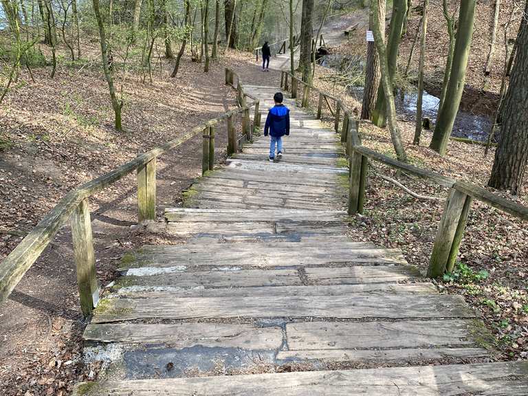 Schöner Wanderweg am Donoperteich Wanderungen und Rundwege komoot