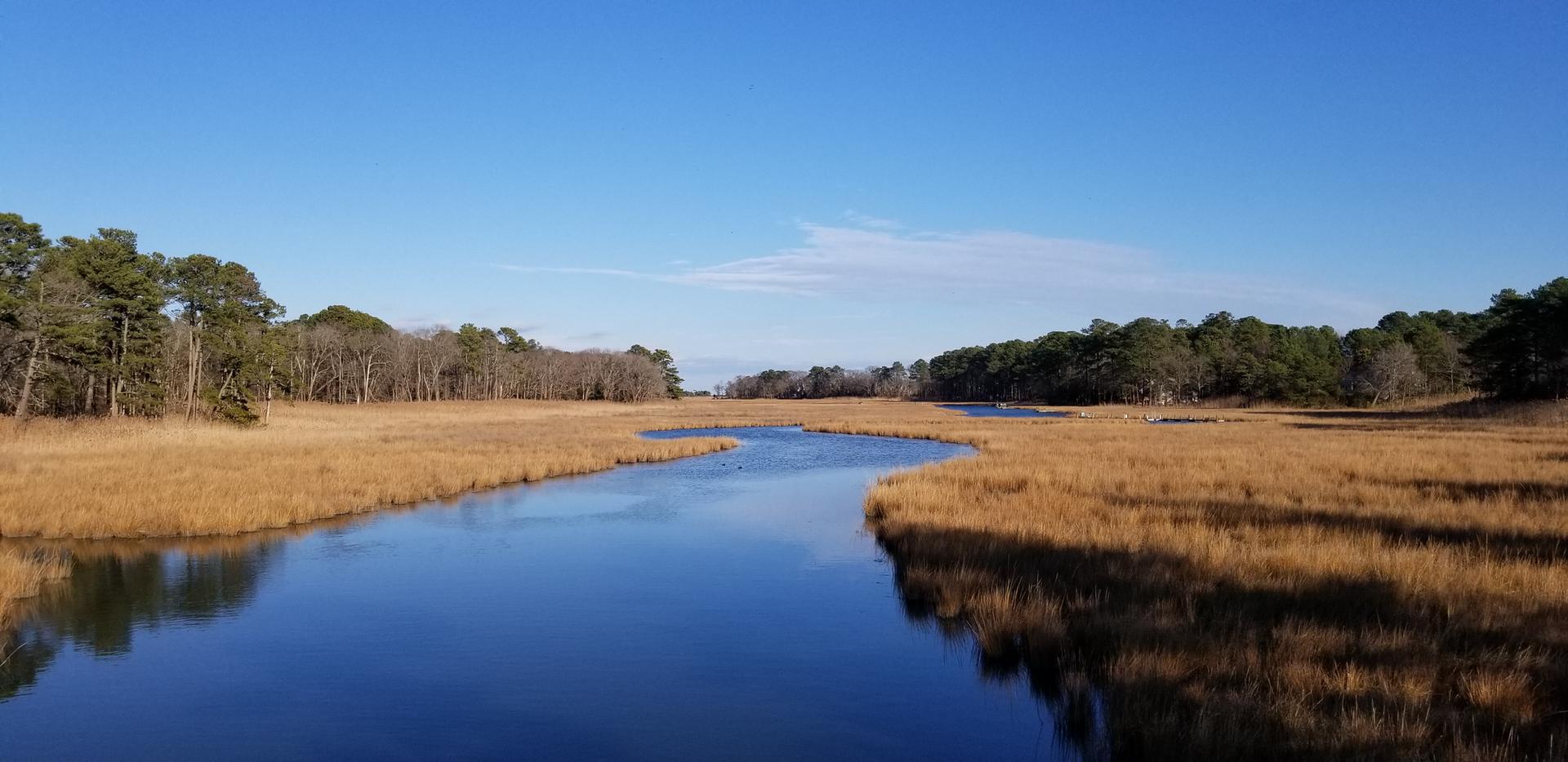 River winding through golden marsh grass under a bright blue sky.