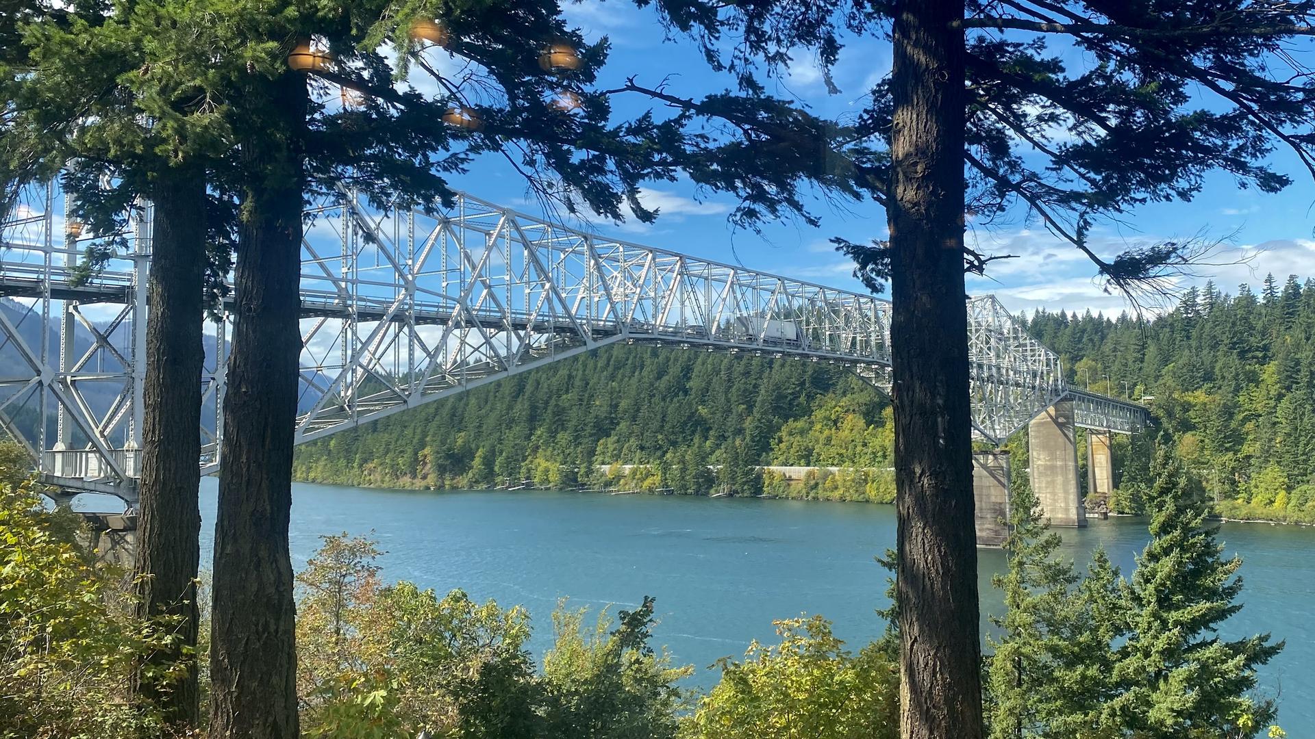 A large metal bridge spans a wide river, framed by tall trees.