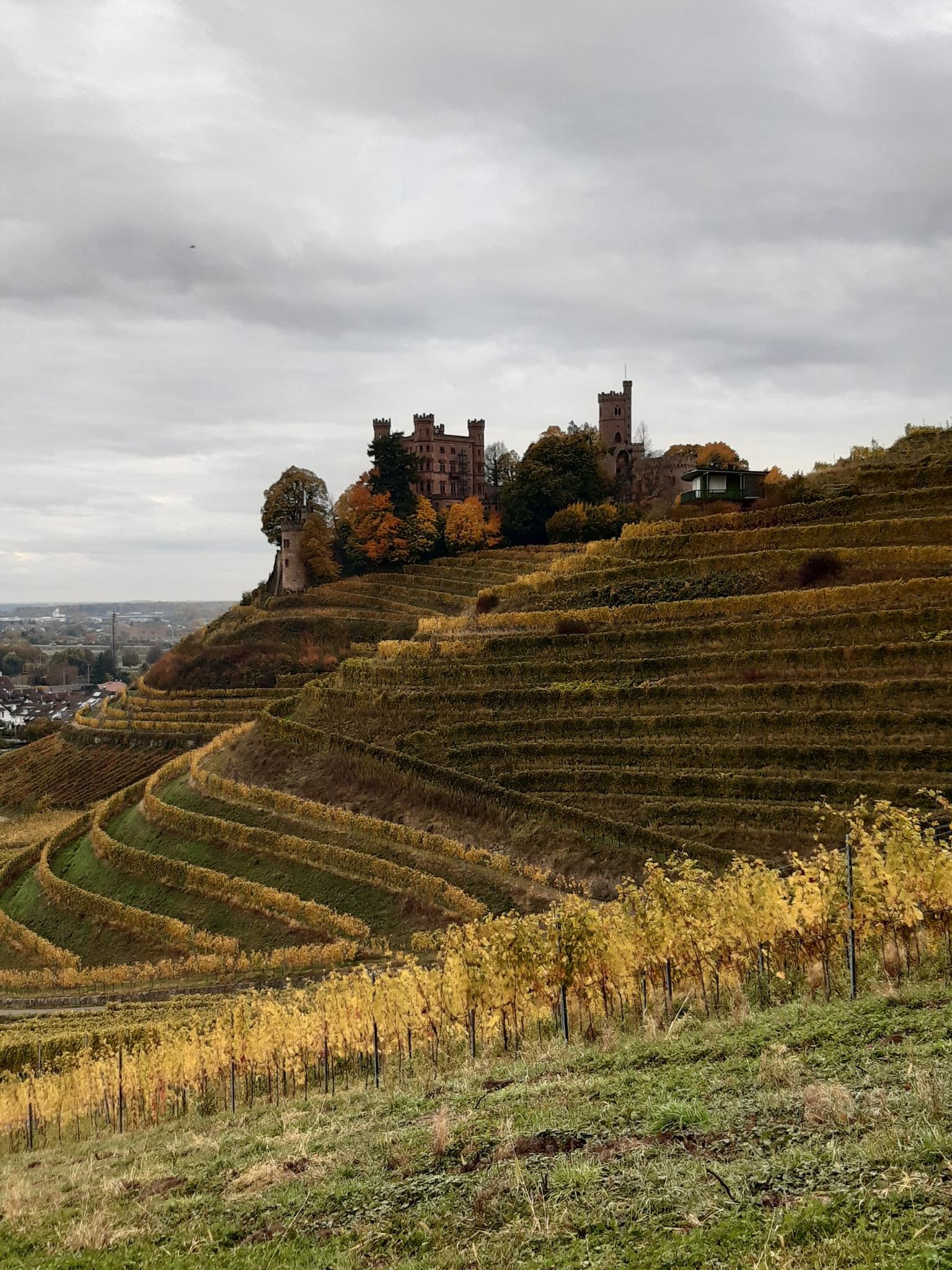 Blick Auf Das Schloss Ortenberg: Wanderungen Und Rundwege | Komoot