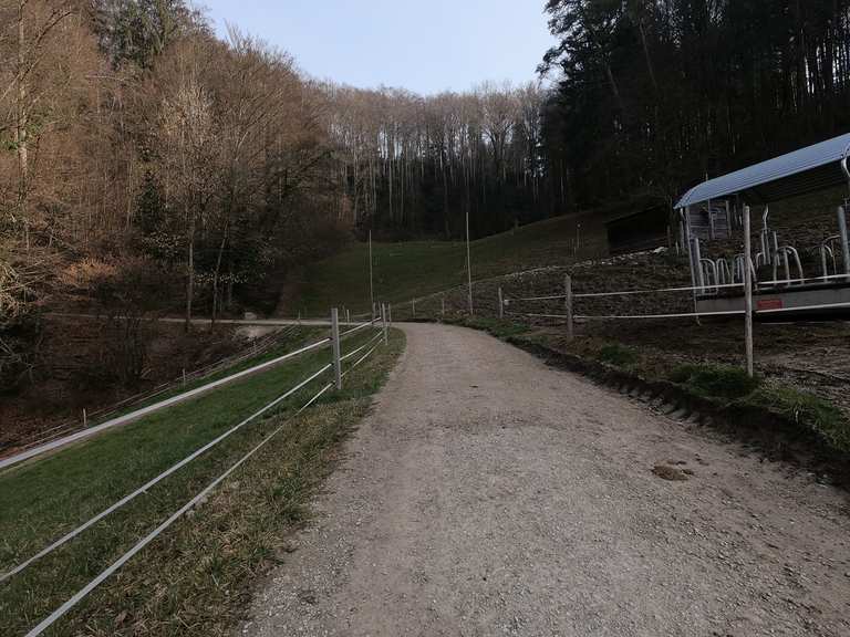 Wohlensee - Wohlen bei Bern, Bern-Mittelland ...