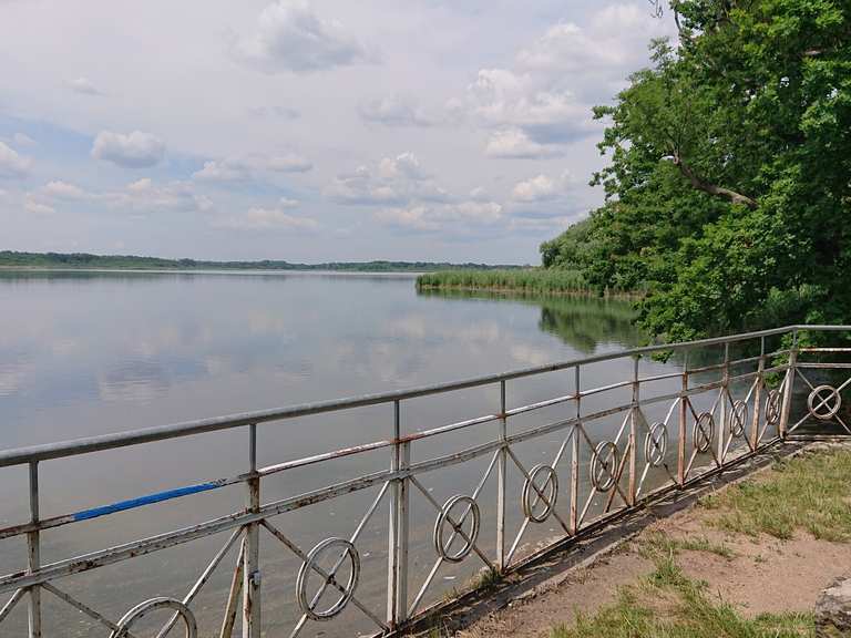 Großer Teich Wanderungen und Rundwege komoot