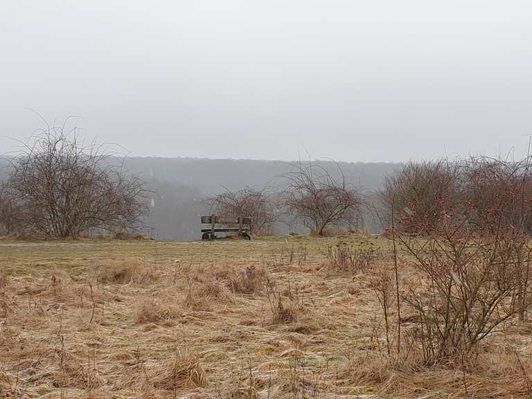 Kerstlingeröder Feld MountainbikeTouren und Trails komoot
