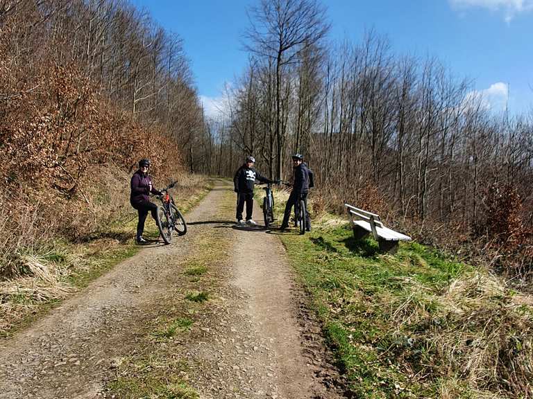 Fernsicht auf den Köterberg: Mountainbike-Touren und -Trails | komoot