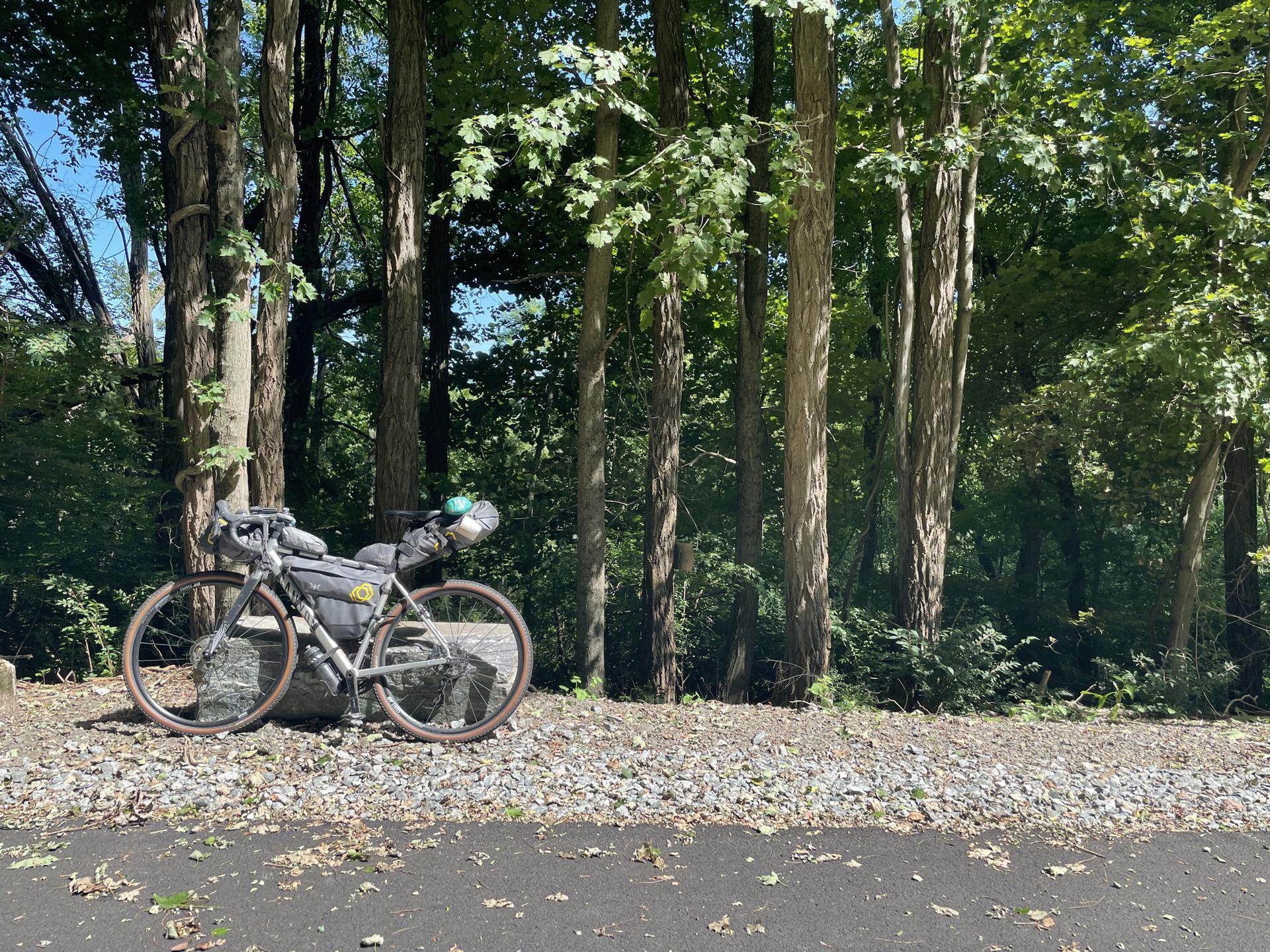 A loaded bicycle leans against a rock in a sunny, dense forest.