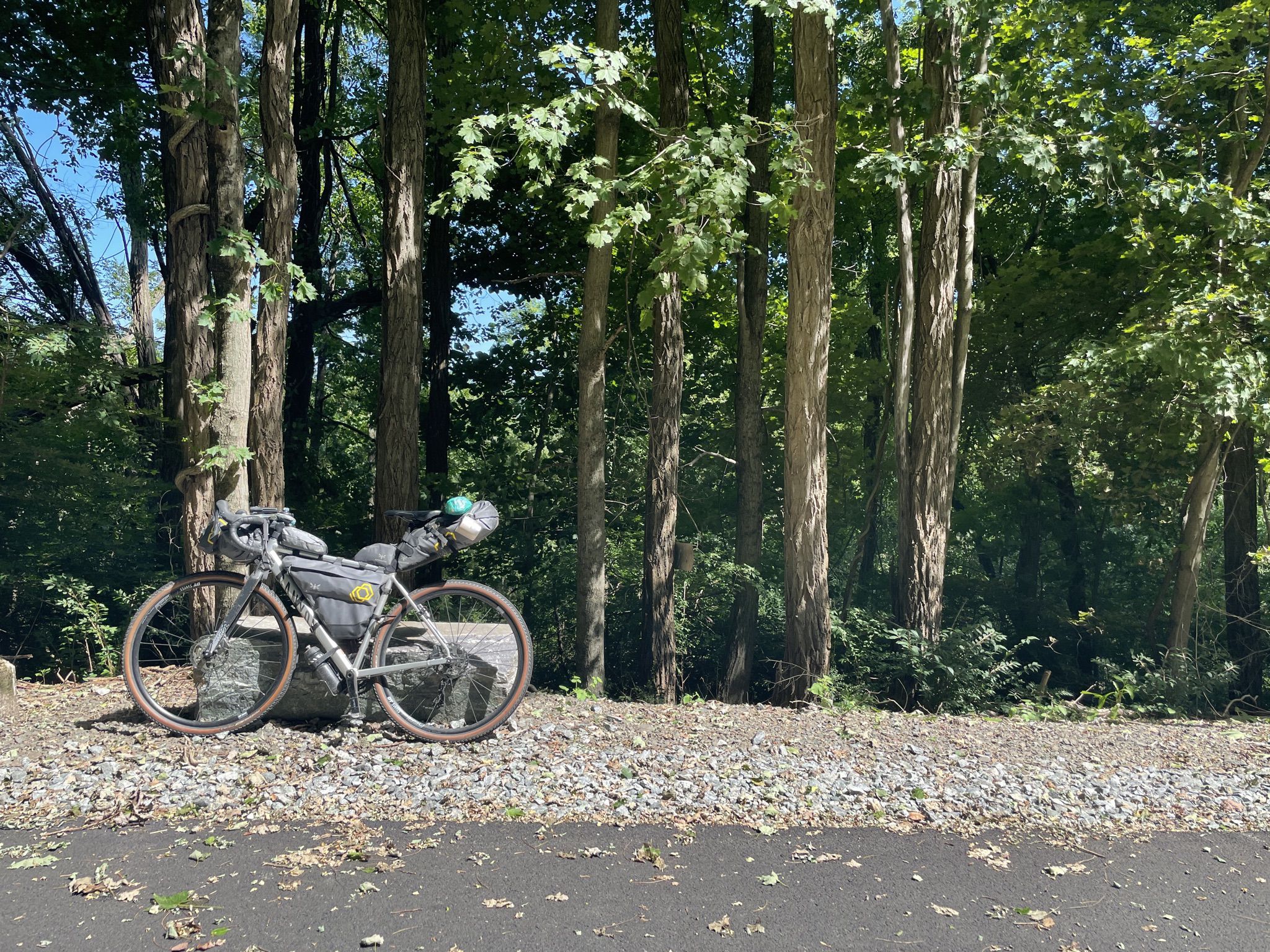 A loaded bicycle leans against a rock in a sunny, dense forest. - Maybrook Trailway