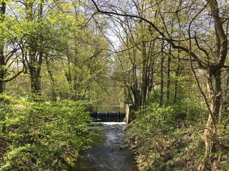 Niersradweg – Zoppenbroicher Park Loop from Neuwerk | bike Tour | Komoot