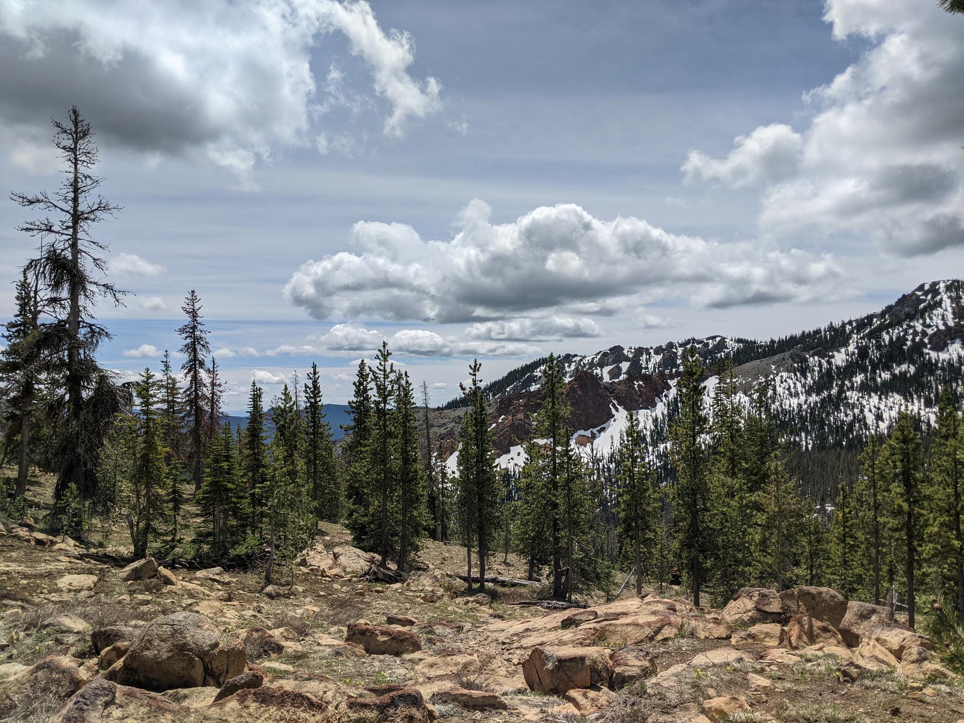 Pine trees and rocky terrain with snow-dusted mountains under a cloudy sky.