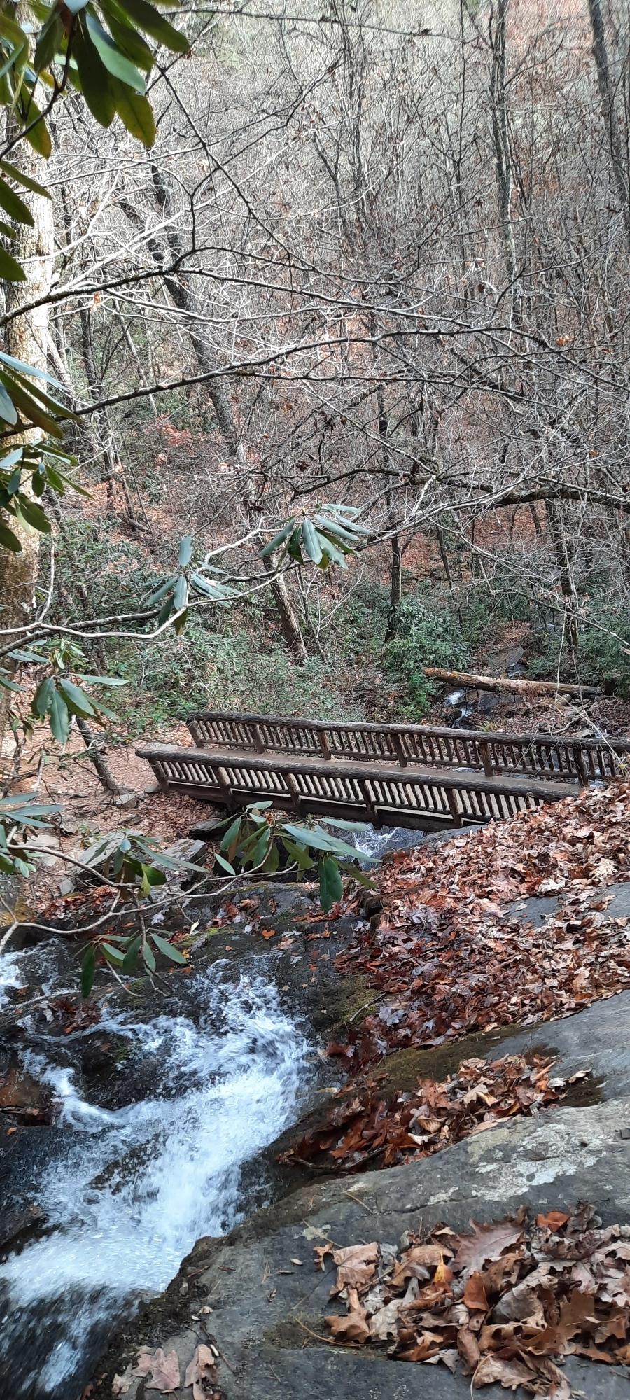 Rushing stream with a wooden bridge in a bare winter forest.