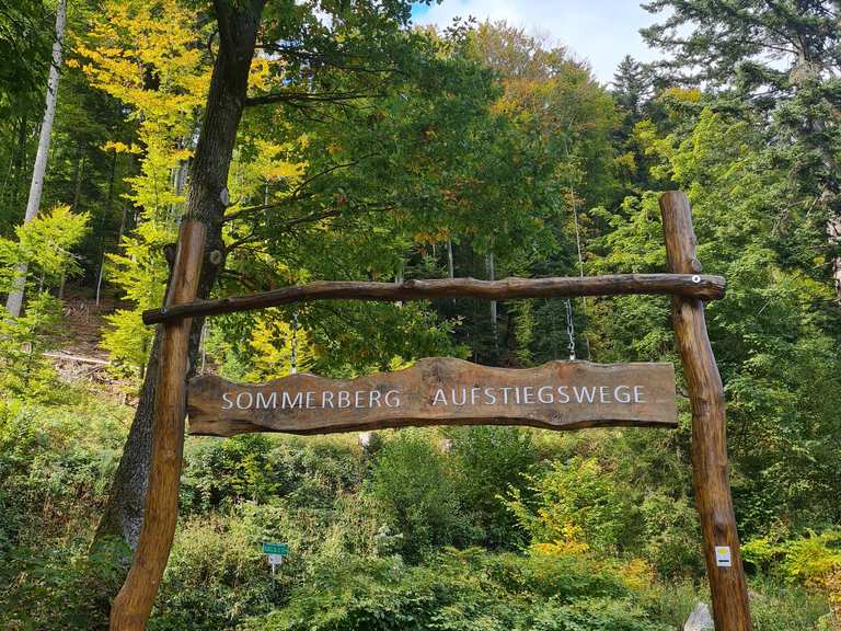 Grünhütte am Eulenloch – Kurpark Bad Wildbad Runde von Talstation ...