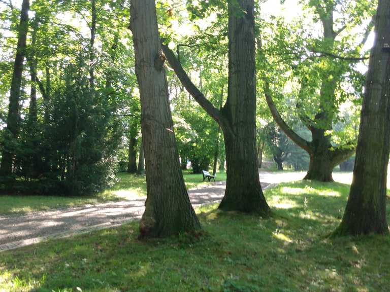 Residenzschloss Altenburg Teichpromenade Blaue Flut Runde von