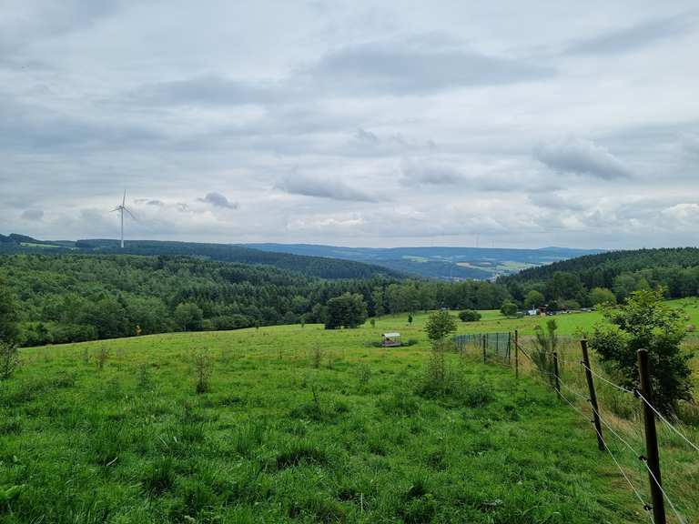 Ausblick Hochwaldalm Wadrill Routes for Walking and Hiking | Komoot