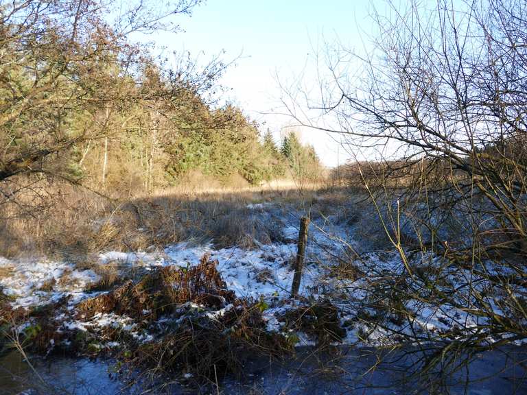 Stiftungsland Offenbütteler Moor Wanderungen und Rundwege komoot