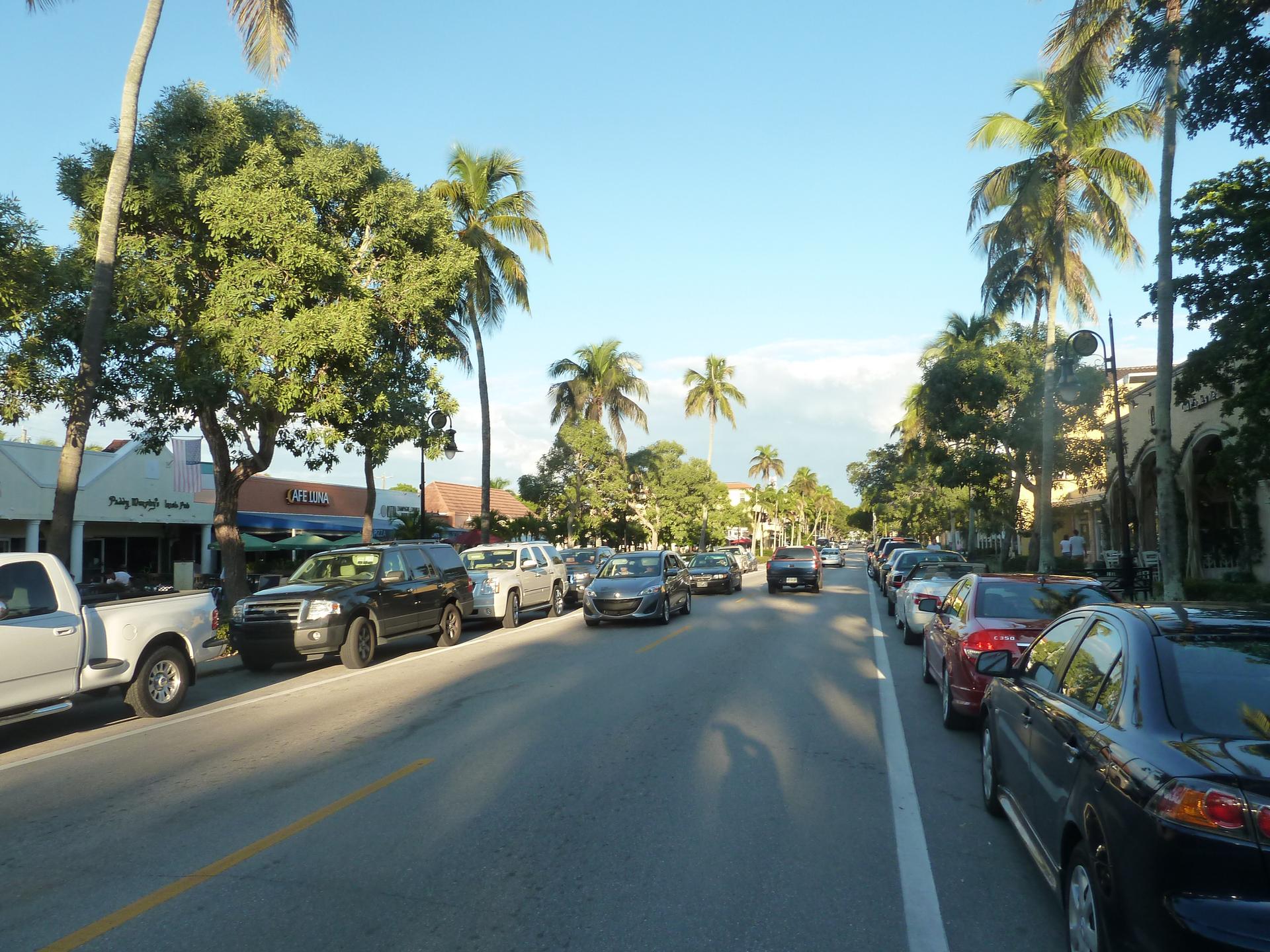 A street lined with parked cars and tall palm trees.