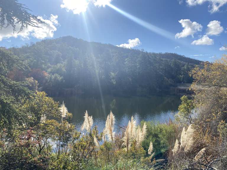 Upper Franklin Canyon Reservoir: Wanderungen und Rundwege | komoot