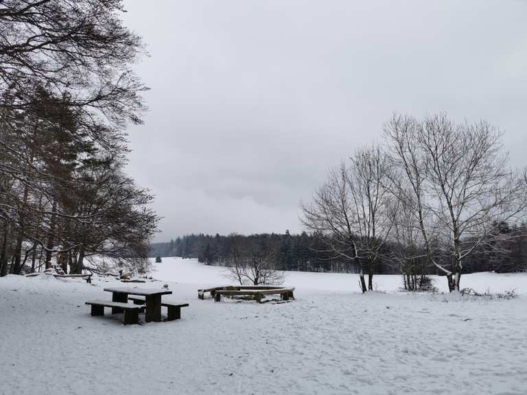 Grüner Fels Aussichtspunkt Wolfsfelsen Runde von Dettingen Erms Mitte