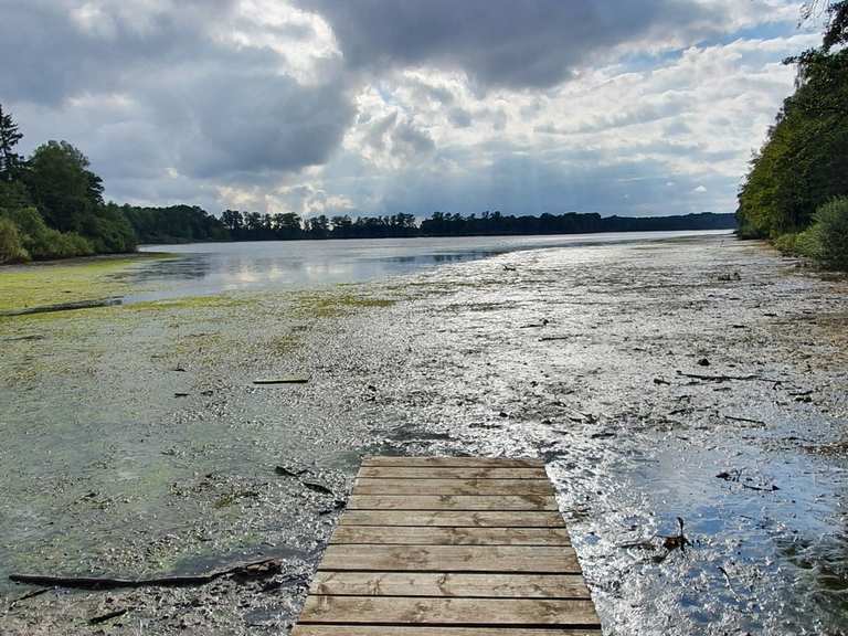 1000 Teiche Rundweg Wanderungen und Rundwege komoot