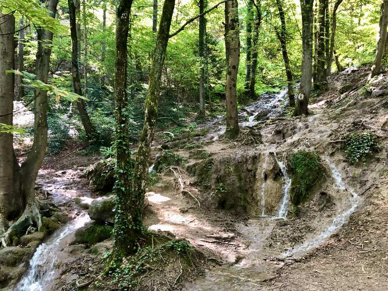Parc de la Calamine - Itinéraires de rando et marche | Komoot