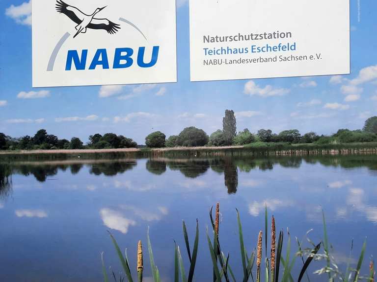Eschefelder Teiche (Großer Teich) Wanderungen und Rundwege komoot