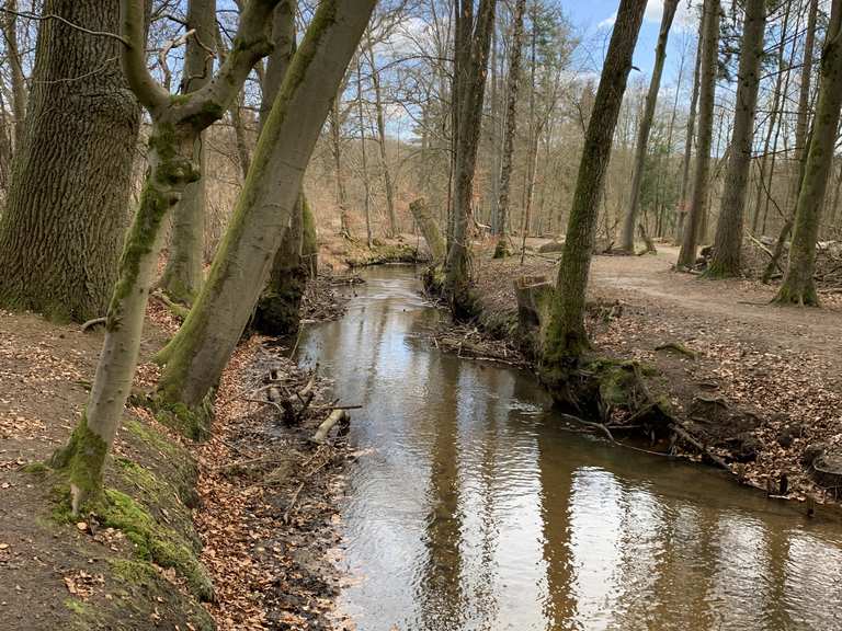 Lüneburg, Rastplatz Am Hasenburger Mühlenbach Wanderungen und Rundwege