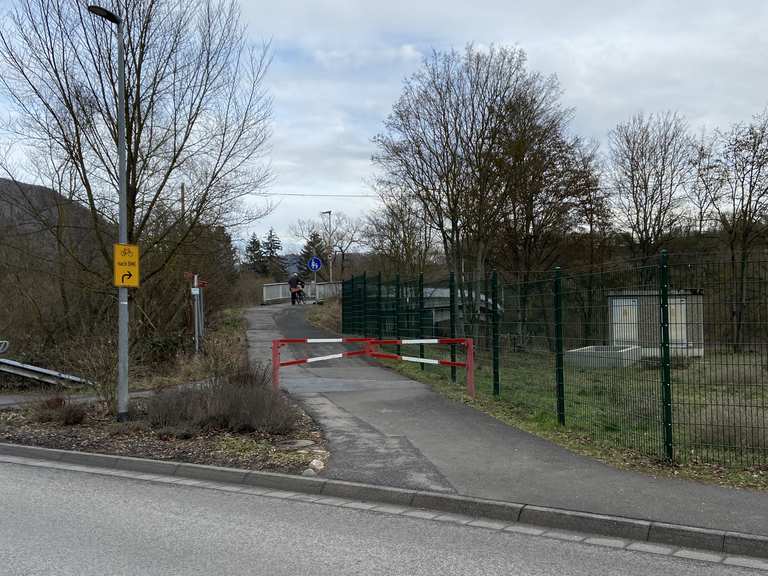 bad münster am stein rotenfels fahrrad trailer