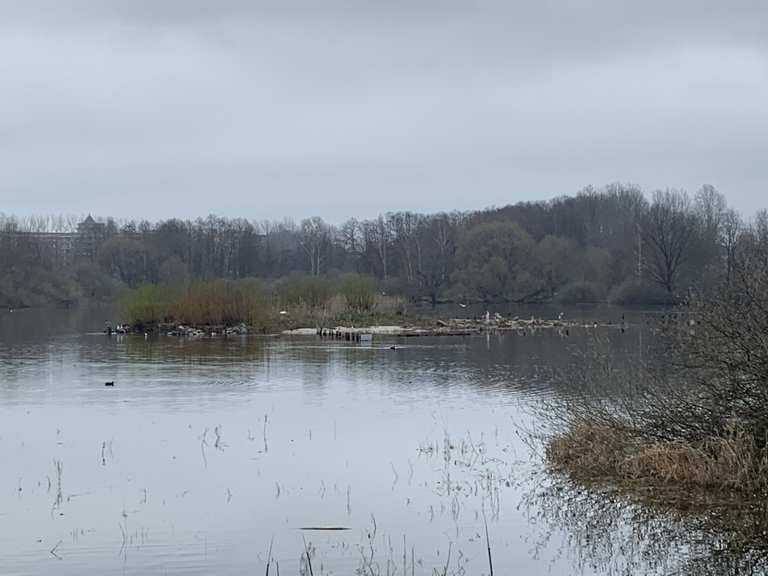 Großer Teich Sauna und Bademöglichkeit Mountain Bike Trails & Tracks