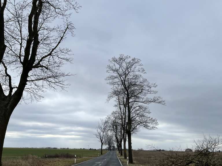 Rehfelde RehfeldeDorf Rennradfahren und Rennradtouren komoot