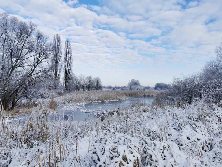 Eschefelder Teiche (Großer Teich) Wanderungen und Rundwege komoot