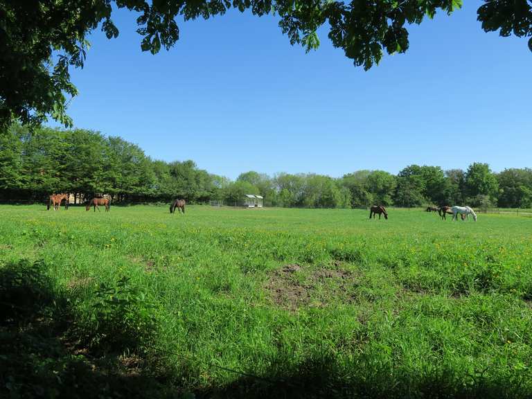 Progreen Pferdeweide m. Kräuter 10kg - Verstärkte wasserdichte Tüllen
