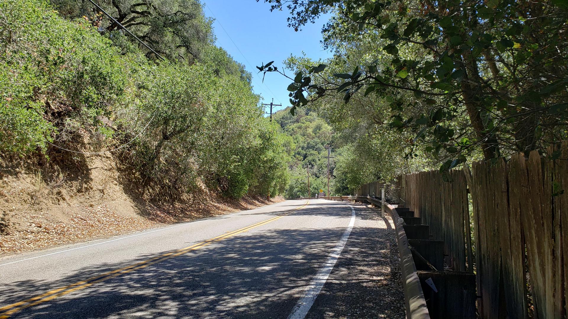 A paved road winding through a sunny, tree-lined landscape with a wooden fence.