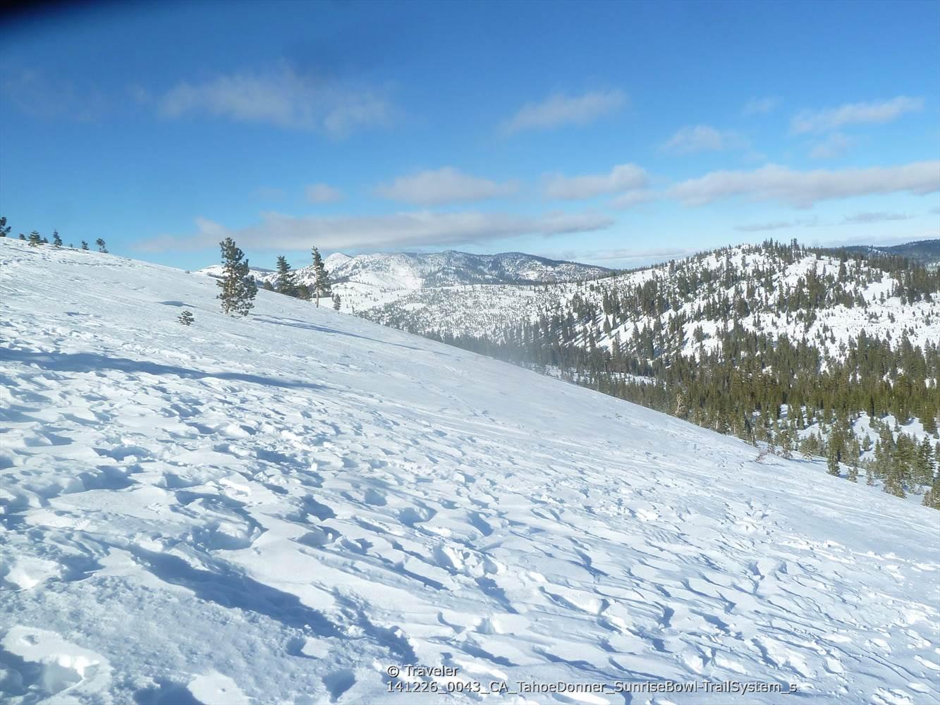 Bright, sunny day over a snow-covered mountain slope with scattered pine trees.