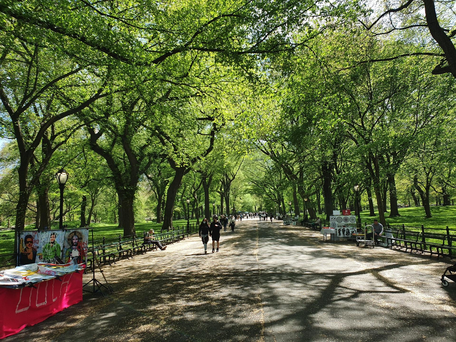 Tree-lined path with people walking, dappled sunlight, vibrant green park.