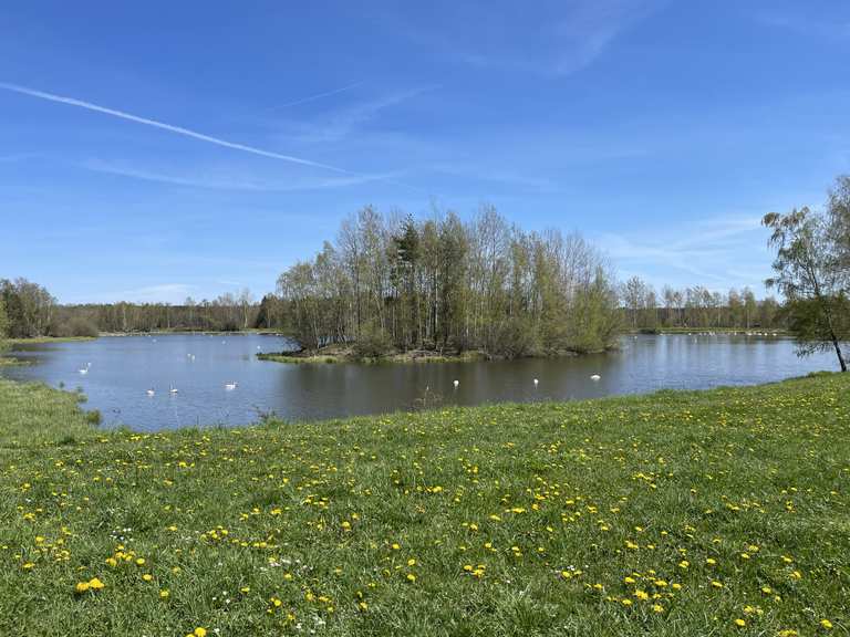 Plothener Teiche DörringenTeich Runde von Knau Wanderung Komoot