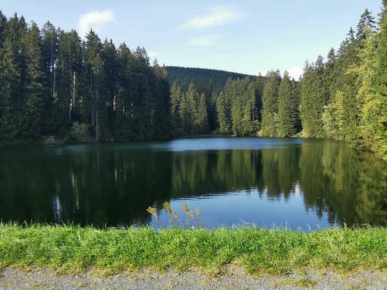 Schalker Teich Routes for Walking and Hiking Komoot