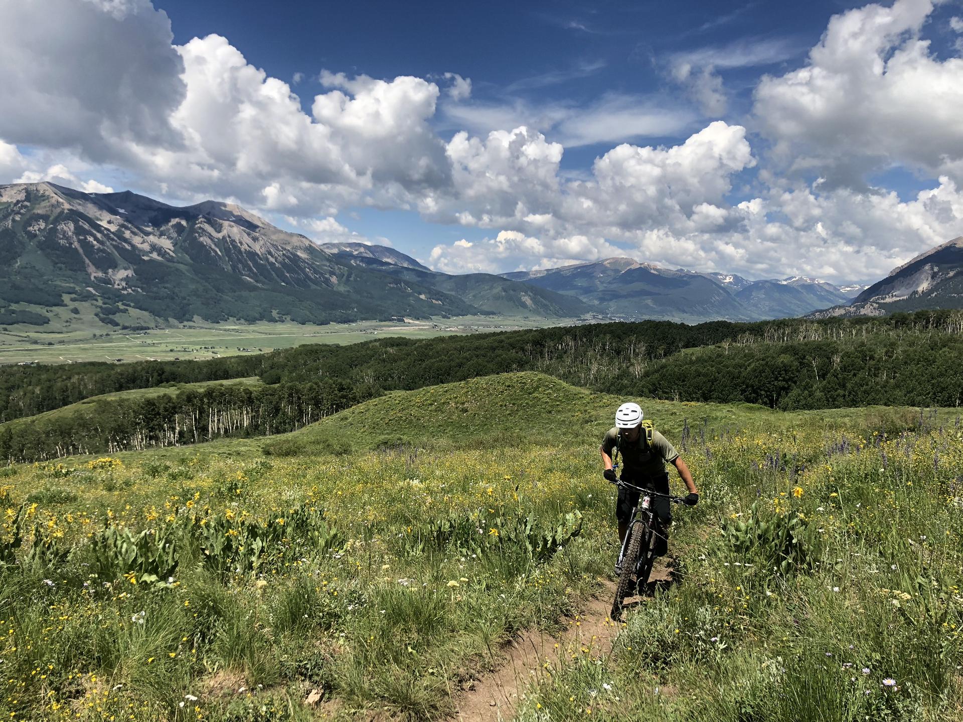 Mountain biker on a dirt path through green fields under a cloudy sky.