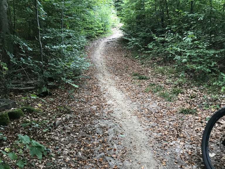 Känzeli Flowtrail Engelberg/So Runde von Küngoldingen Mountainbike