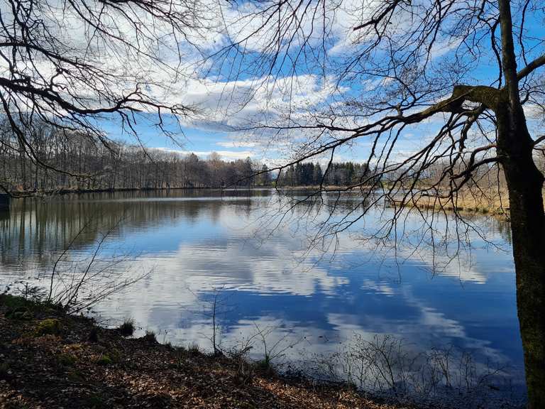 Langwuhrweiher - Cycle Routes and Map | Komoot