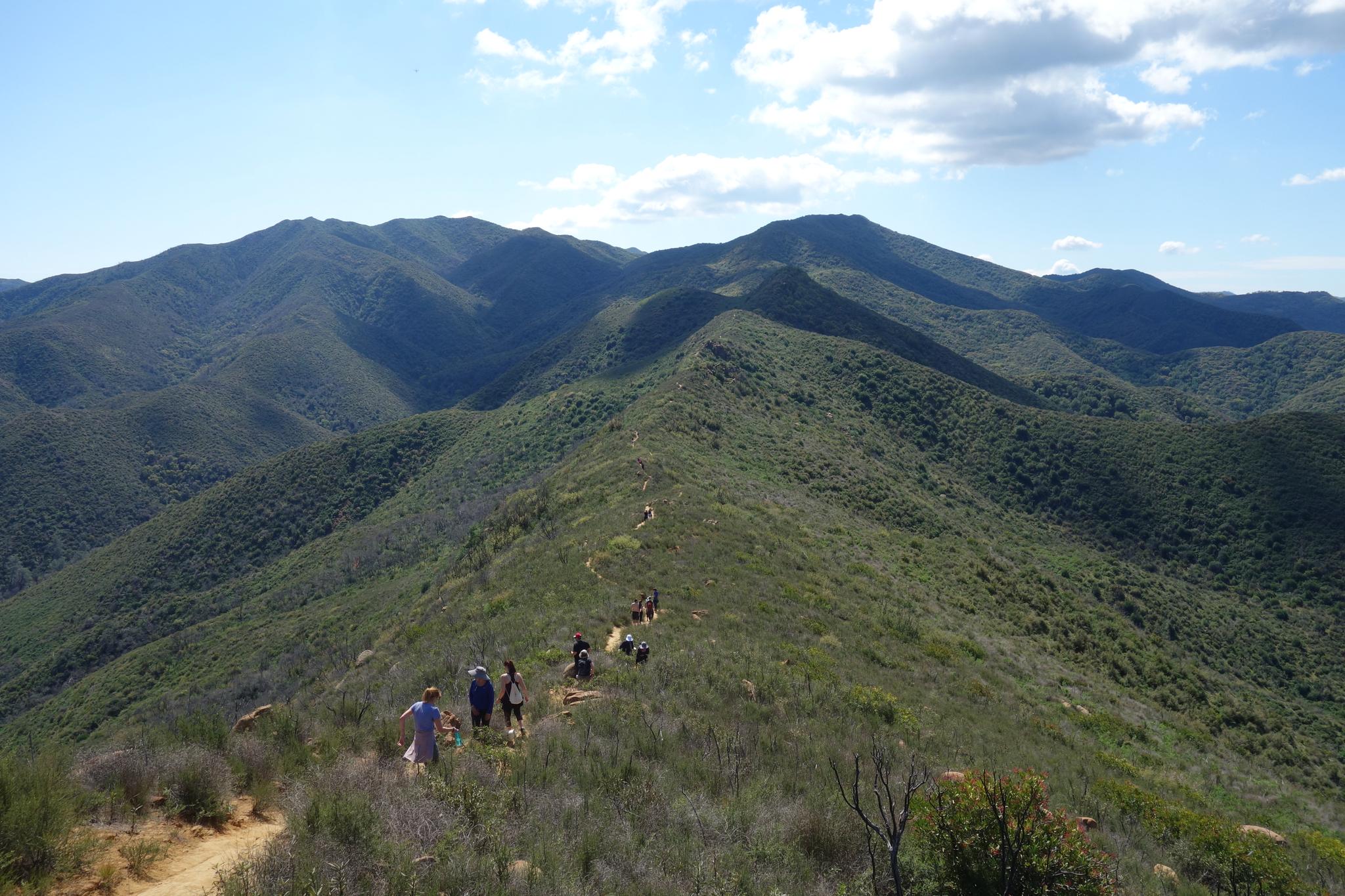Hikers walk along a narrow mountain ridge with green slopes under a blue sky.