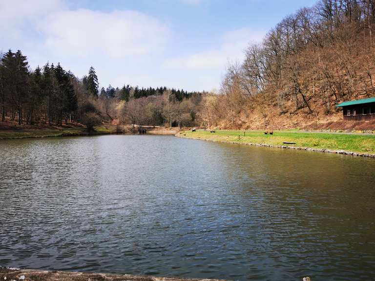 Stausee Üdersdorf Wanderungen und Rundwege komoot