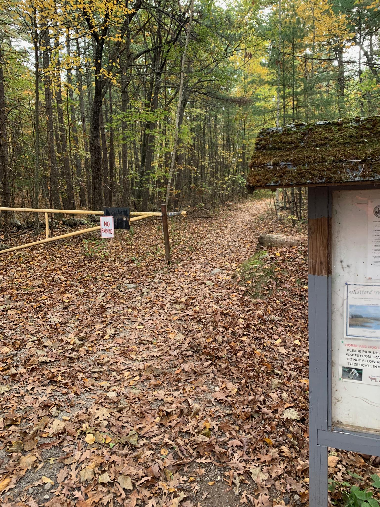 Forest trailhead with a yellow gate, information board, and leaf-covered path.