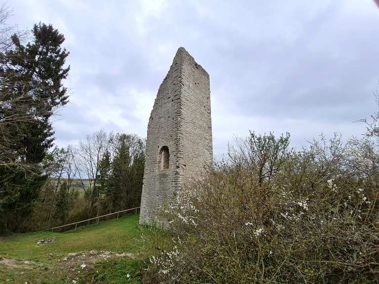 Ruine der Burg Bechthal Wanderungen und Rundwege komoot