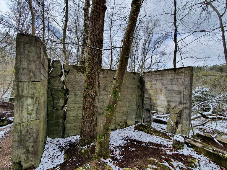 Gaststätte „Krone“ – Beobachtungshütte Runde von Raderach | Wanderung