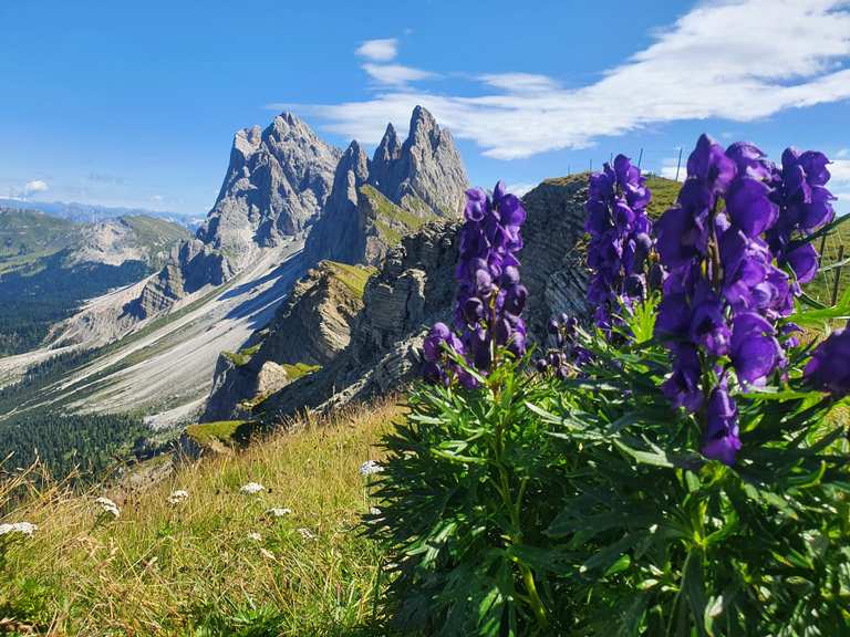 Stazione Cabinovia Col Raiser / Col Raiser Bergstation Routes for Walking  and Hiking