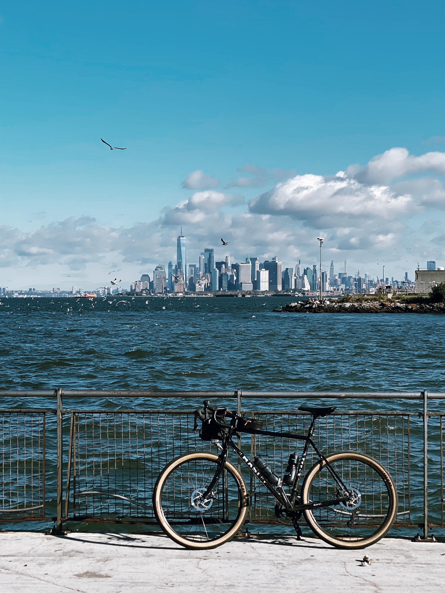 Bicycle parked by a railing overlooking water and a distant city skyline.