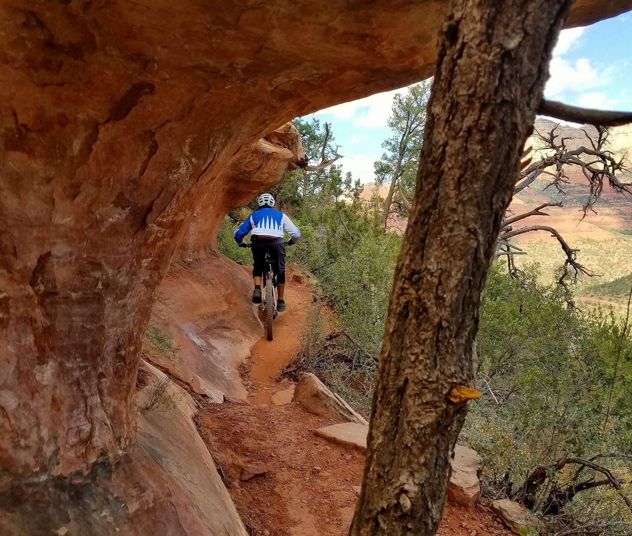 Mountain biker on a narrow red trail under a rock overhang, green trees. - Hangover – MTB Trails in Sedona