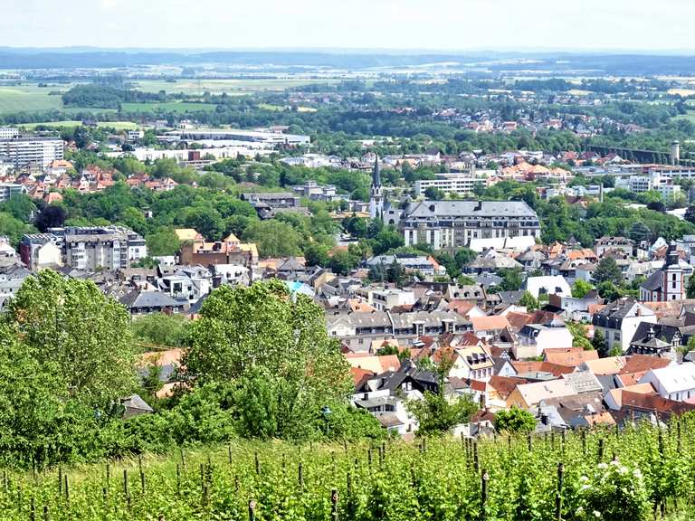 Johannisberg MountainbikeTouren und Trails komoot