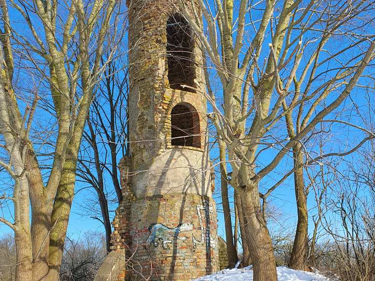Mäuseturm Wanderungen und Rundwege komoot