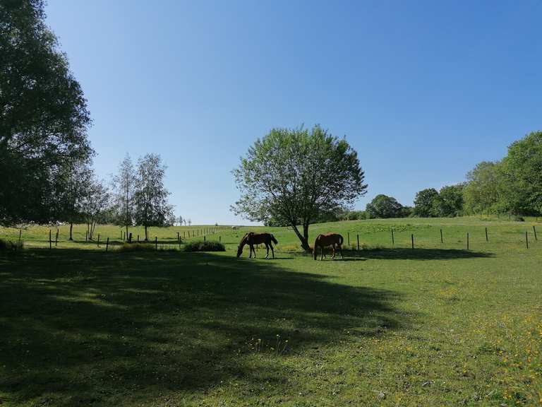 Château de Fichermont Routes for Walking and Hiking | Komoot