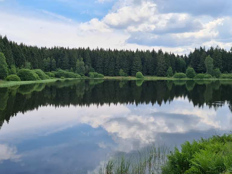 Zankwieser Teich MTBroutes en trails Komoot