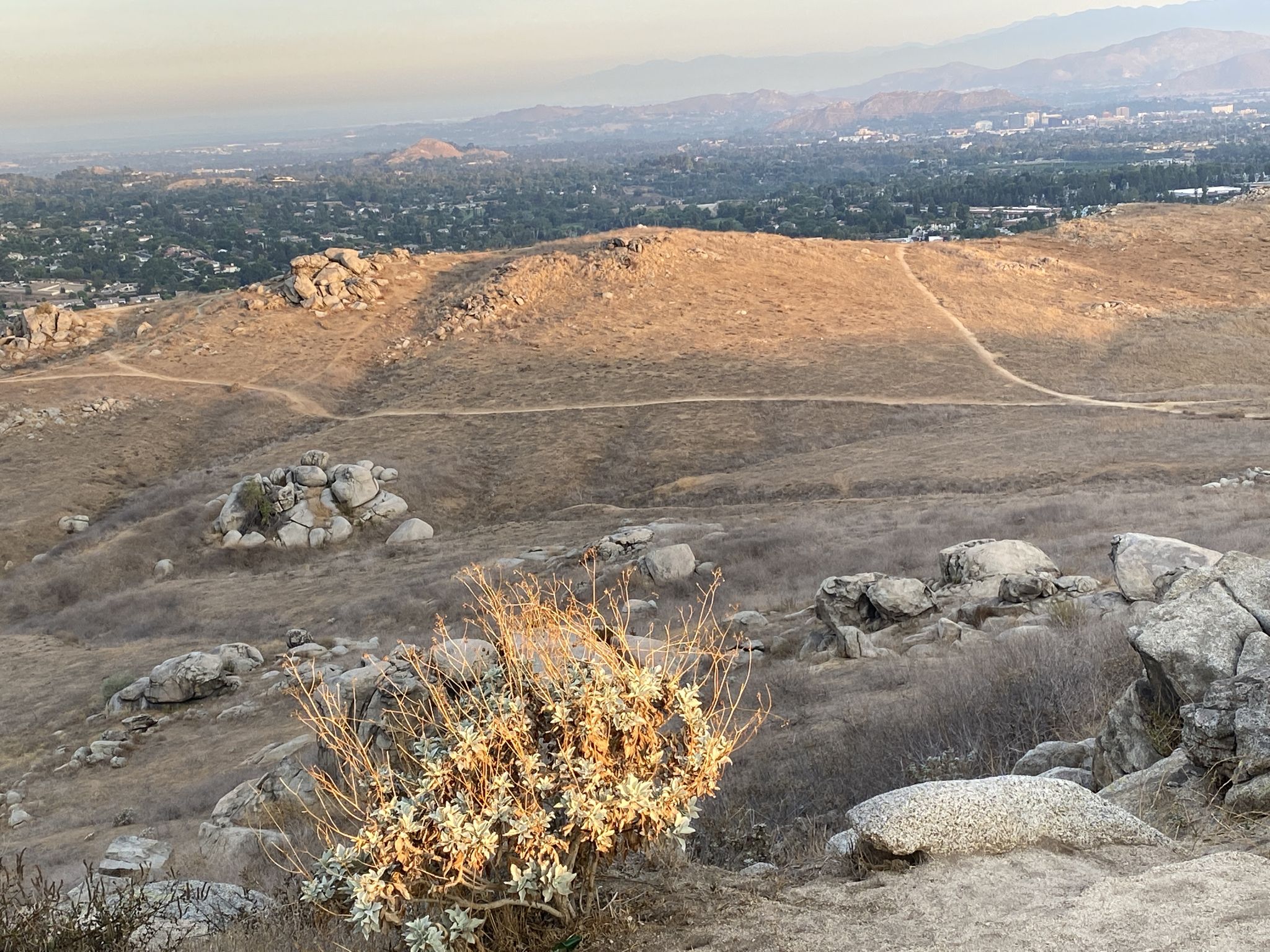 Arid, rocky hills with a distant city under soft, warm light. - Rattlesnake Peak Loop